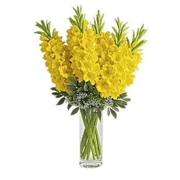 Radiant Bloom Cascade