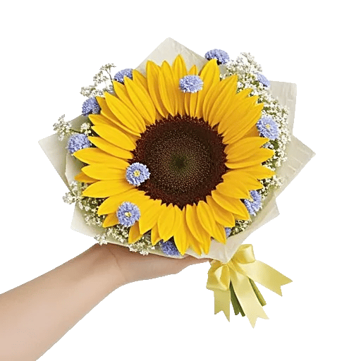 Twinkling Sunflower Dance