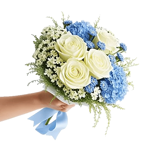 Serene Petal Harmony