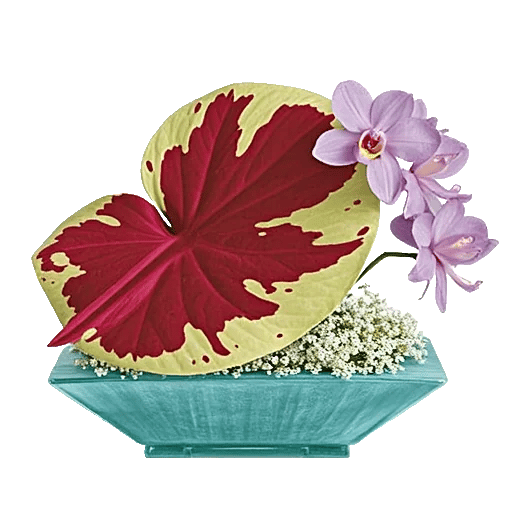 Orchid Bloom Cascade