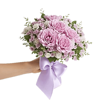 Pastel Pink Roses