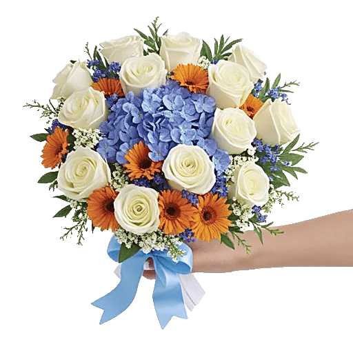 Serene Petal Harmony