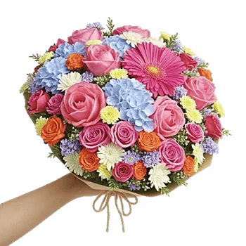 Serene Garden Harmony