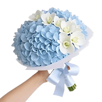 Sapphire Bloom Whisper