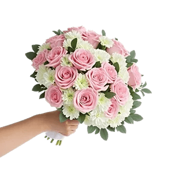 Pastel Pink Roses