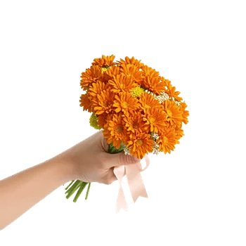 Golden Petal Harmony