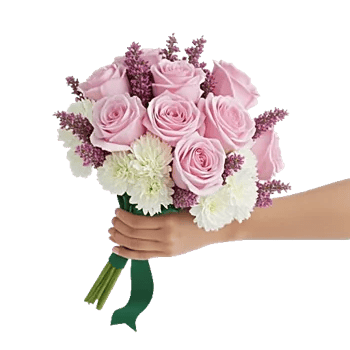 Pastel Pink Roses