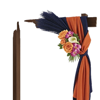 Elegant Calla Lilies