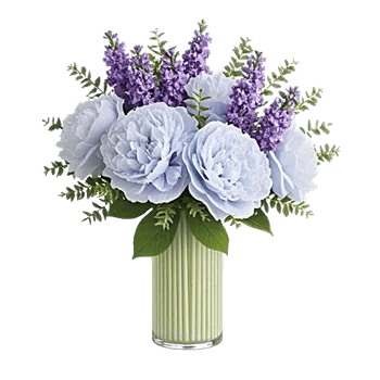 Petal Radiance Bliss