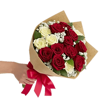 Crimson Rose Elegance