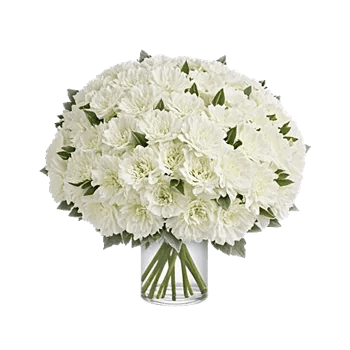 Delicate Petal Cascade