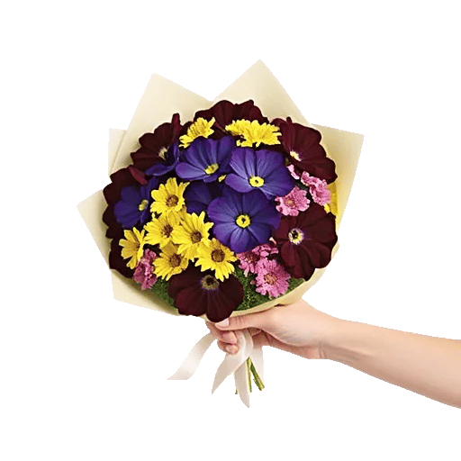 Blossom Harmony Display