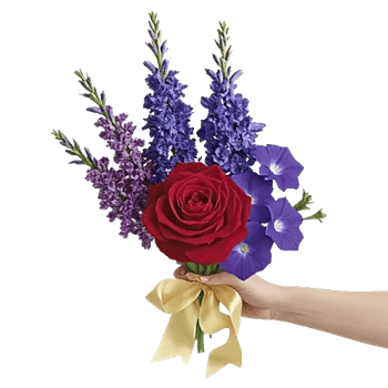 Crimson Rose Elegance