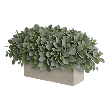 Emerald Leaf Harmony