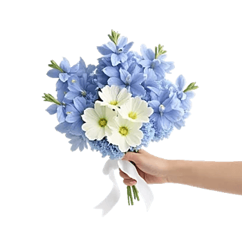 Blossom Petal Serenity