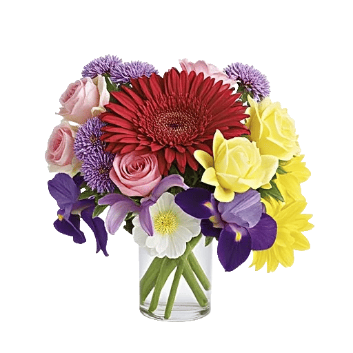 Crimson Blossom Harmony