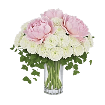 Ivory Blossom Radiance