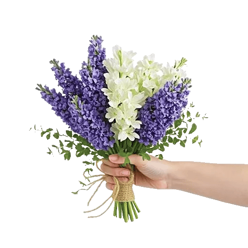 Lavender Bloom Grace