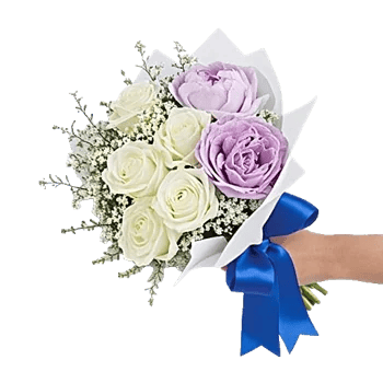 Serene Petal Harmony