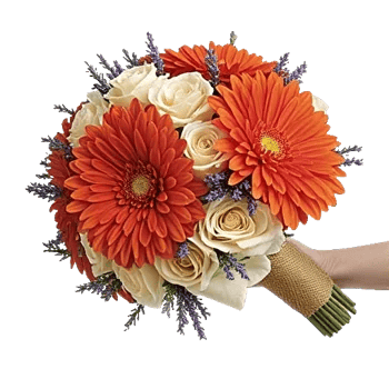 Radiant Bloom Cascade