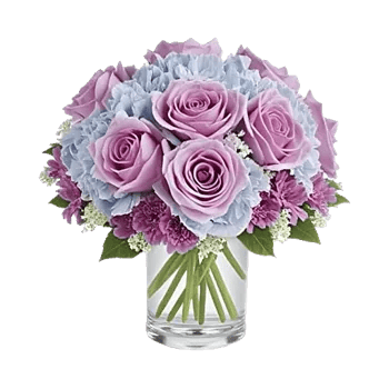 Sapphire Bloom Whisper