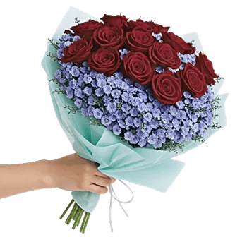 Crimson Rose Elegance