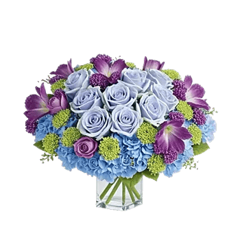 Elegant Blue Roses