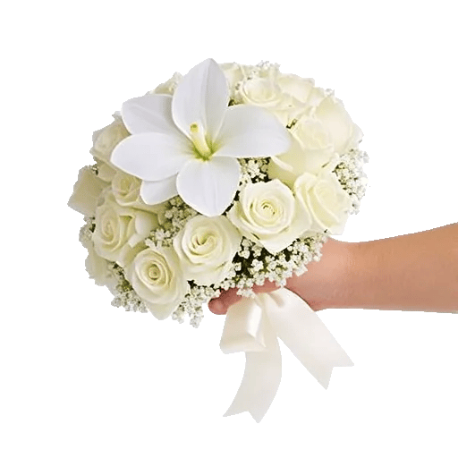 Modern White Orchids