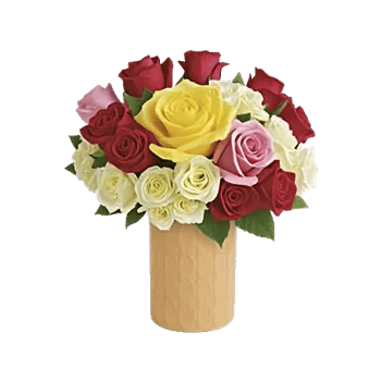 Radiant Rose Symphony