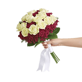 Delicate Petal Cascade