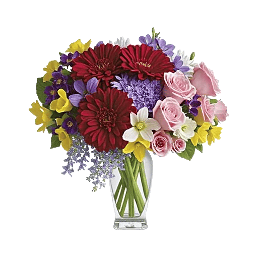 Petal Radiance Bliss