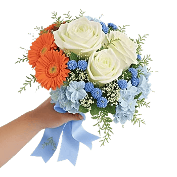 Serene Petal Harmony