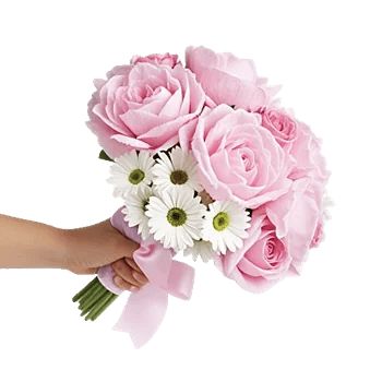 Peony Petal Harmony