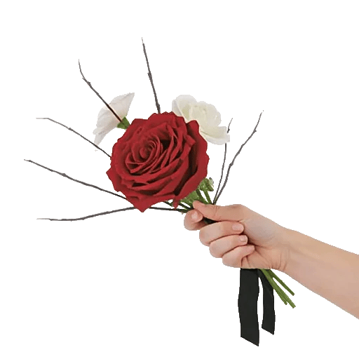 Crimson Rose Elegance