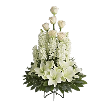 Ivory Blossom Radiance