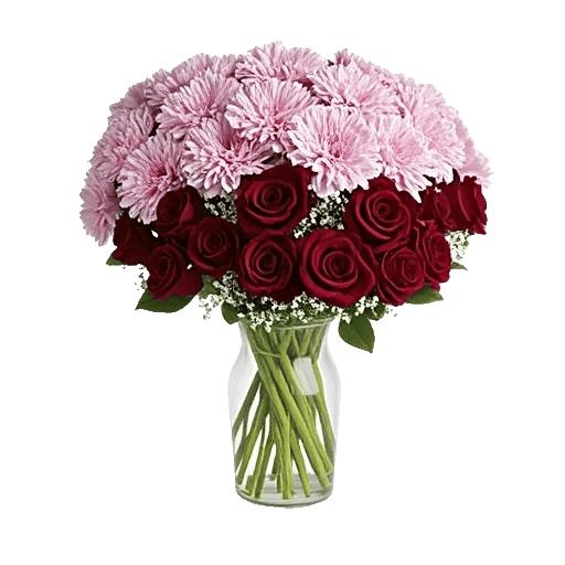 Pink Pastel Roses
