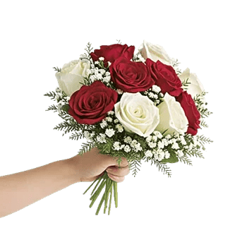 Crimson Rose Elegance