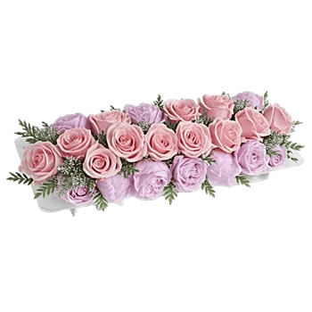 Pink Pastel Roses