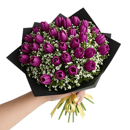 Velvet Tulip Display