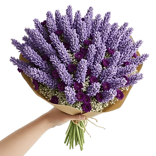 Lavender Dream Bouquet