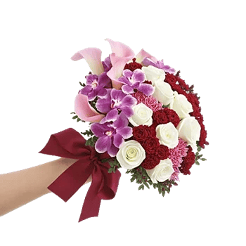 Elegant Calla Lilies