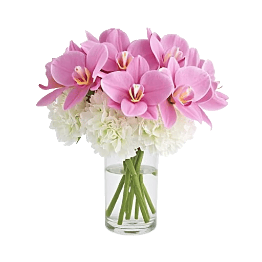 Orchid Bloom Cascade