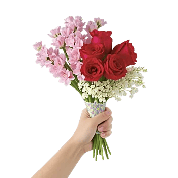 Delicate Petal Cascade