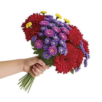 Blossom Harmony Display