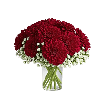 Delicate Petal Cascade