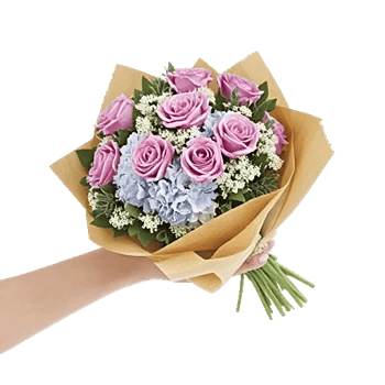 Serene Petal Harmony