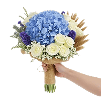 Serene Petal Harmony