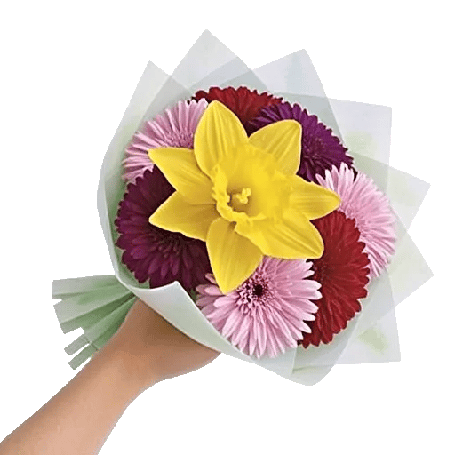 Radiant Bloom Cascade