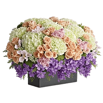 Ivory Blossom Radiance