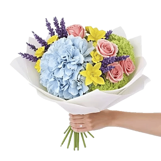 Serene Petal Harmony